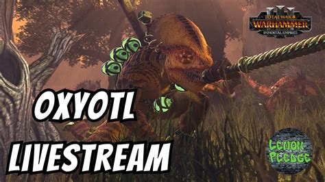 warhammer 3 oxyotl.